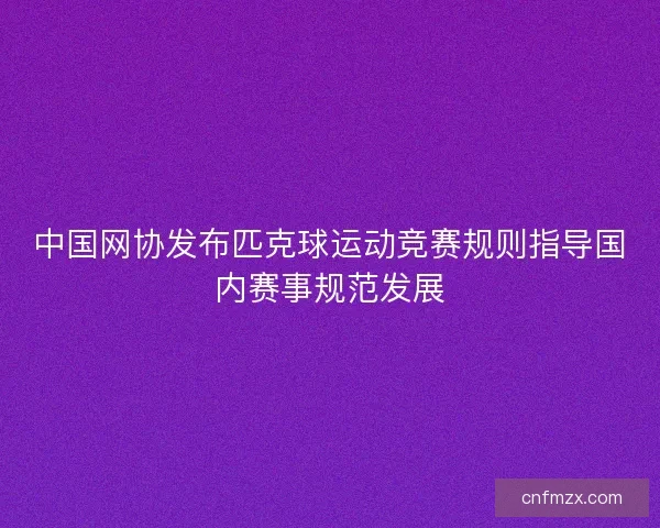 中国网协发布匹克球运动竞赛规则指导国内赛事规范发展